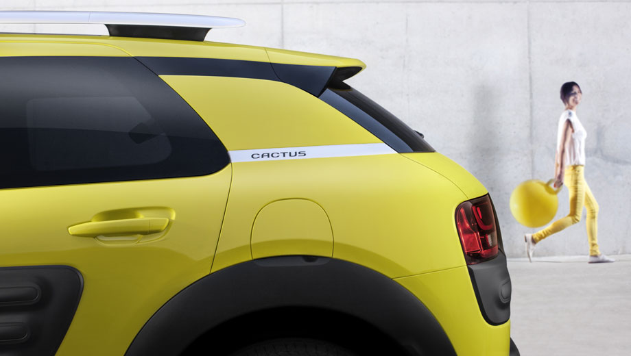 C4Cactus_accessibilité