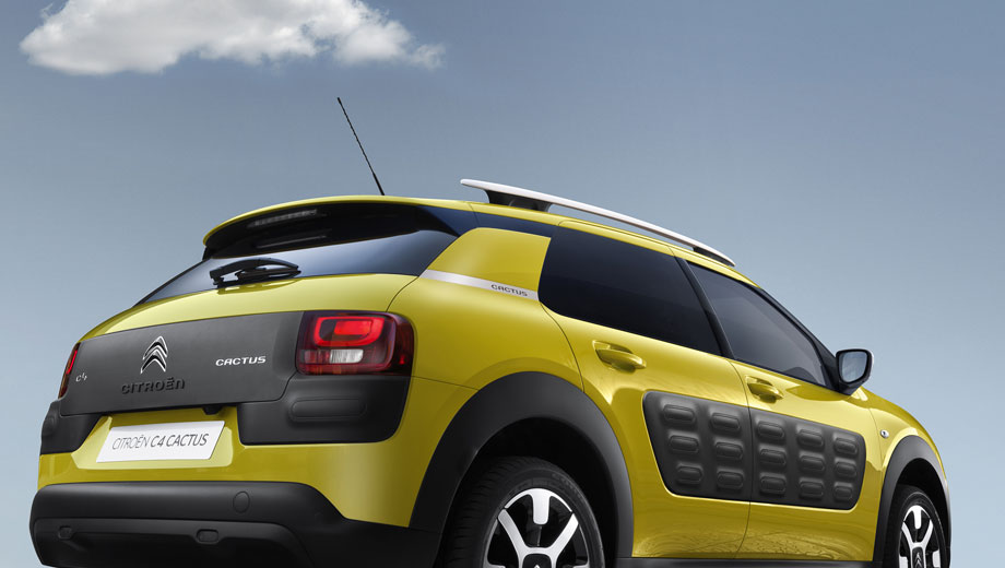 C4Cactus_motorisation